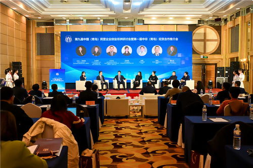 青岛中非商会换届及第九届中国·青岛民营企业创业非洲研讨会成功举行，聚焦教育咨询合作新机遇