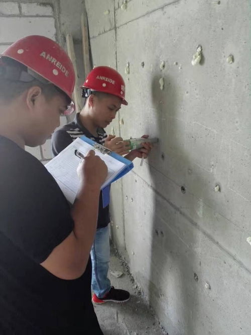 汕头厂房房屋检测鉴定报告免费咨询单位与教育咨询服务指南